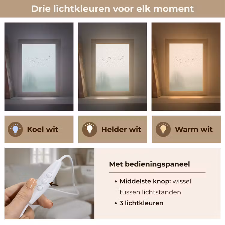 Gepersonaliseerde lightbox - Vogel - Vlucht - Natuur - Minimalistisch — 6