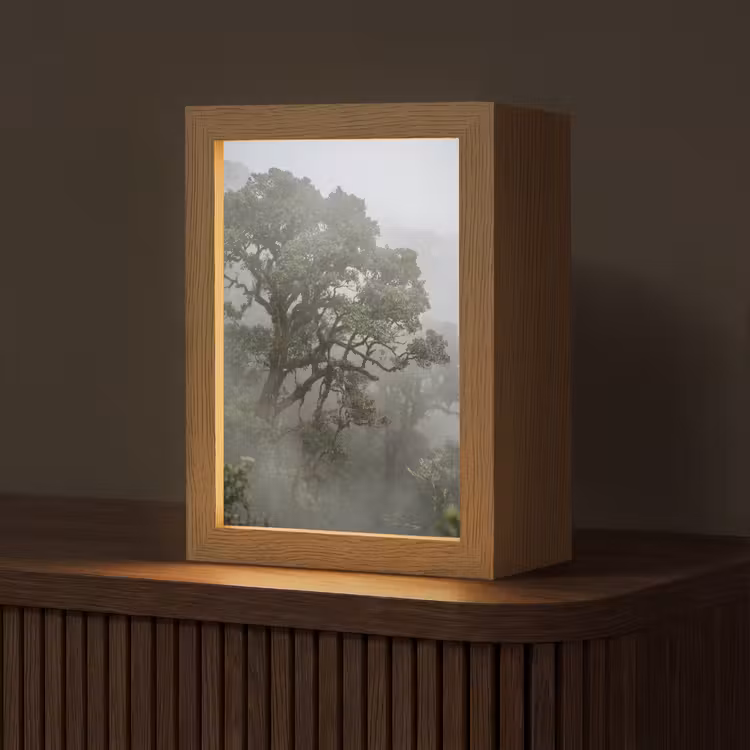 Gepersonaliseerde lightbox - Boom - Mistig - Bos - Groen - Natuur — 1