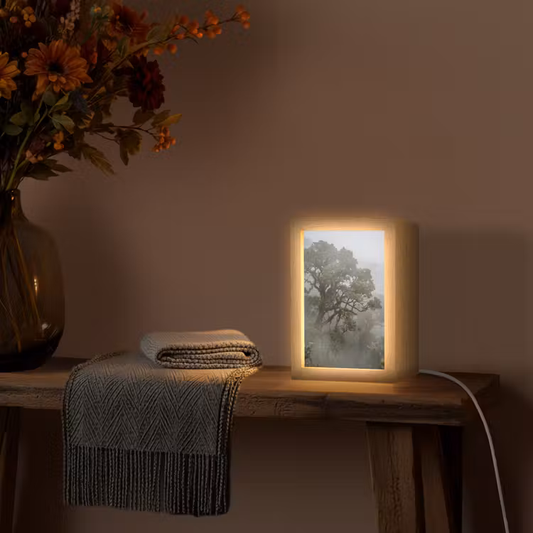Gepersonaliseerde lightbox - Boom - Mistig - Bos - Groen - Natuur — 3