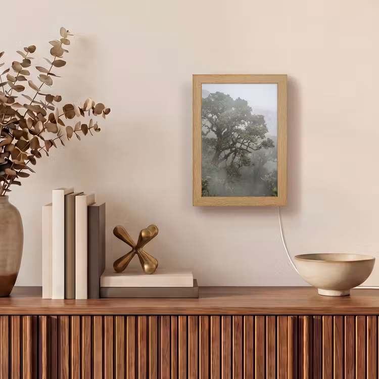 Gepersonaliseerde lightbox - Boom - Mistig - Bos - Groen - Natuur — 4