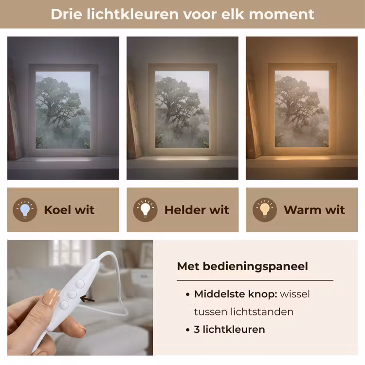 Gepersonaliseerde lightbox - Boom - Mistig - Bos - Groen - Natuur — 6