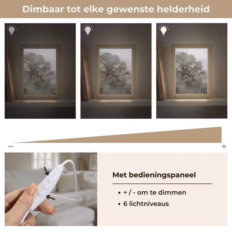 Gepersonaliseerde lightbox - Boom - Mistig - Bos - Groen - Natuur — 8