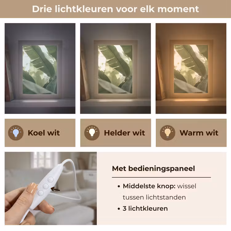Gepersonaliseerde lightbox - Natuur - Bladeren - Groen - Tropisch - Detail — 6