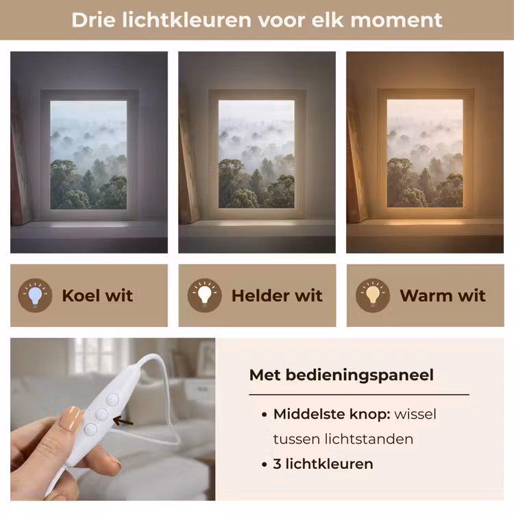 Gepersonaliseerde lightbox - Natuur - Mist - Bos - Ochtend - Goud — 6