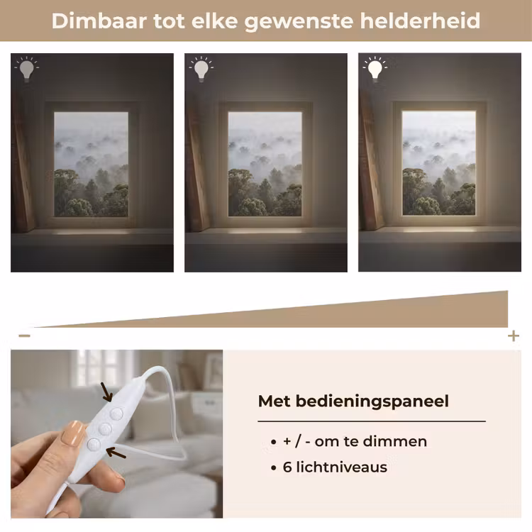 Gepersonaliseerde lightbox - Natuur - Mist - Bos - Ochtend - Goud — 8