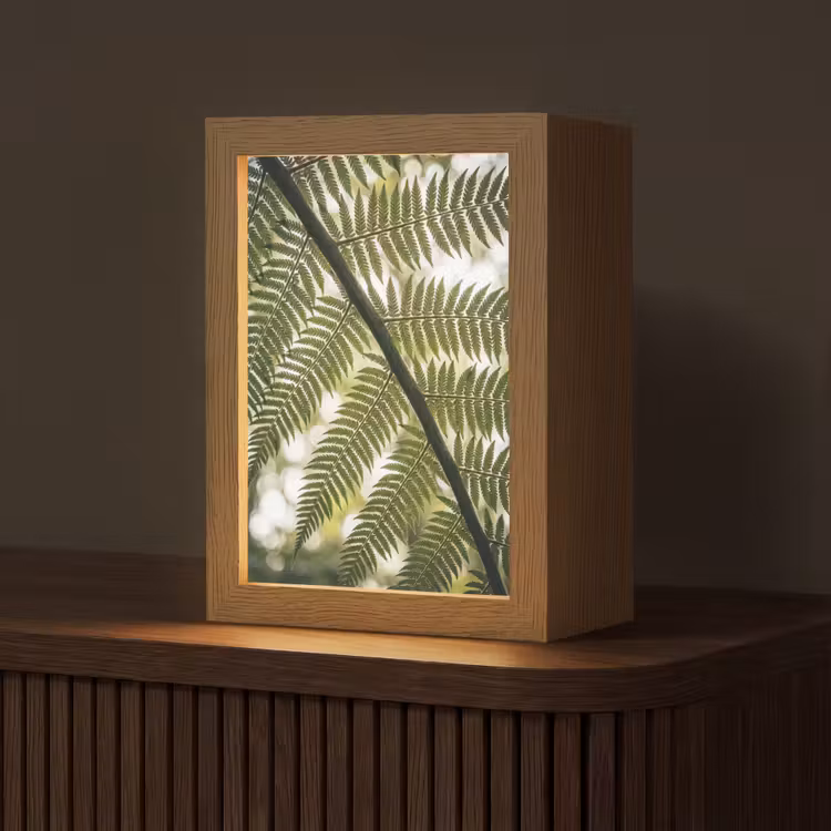 Gepersonaliseerde lightbox - Plant - Blad - Natuur - Groen - Detail — 1