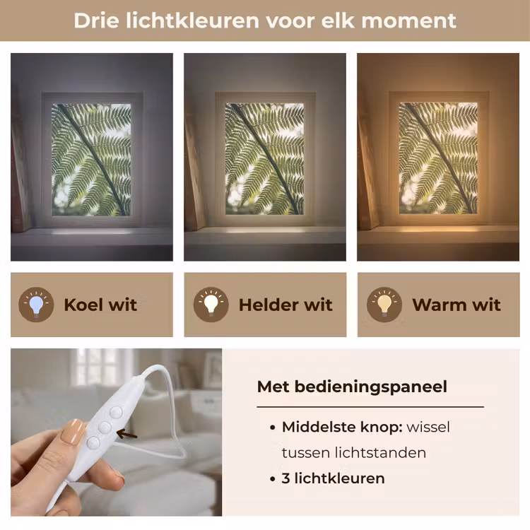 Gepersonaliseerde lightbox - Plant - Blad - Natuur - Groen - Detail — 6