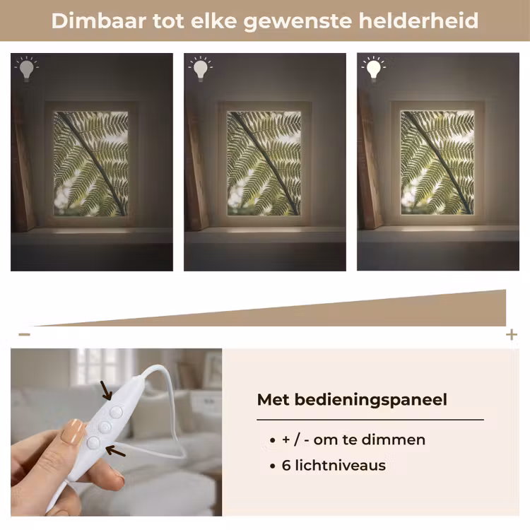 Gepersonaliseerde lightbox - Plant - Blad - Natuur - Groen - Detail — 8