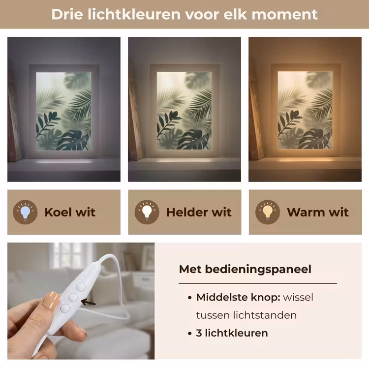 Gepersonaliseerde lightbox - Planten - Bladeren - Schaduwen - Groen - Modern — 6