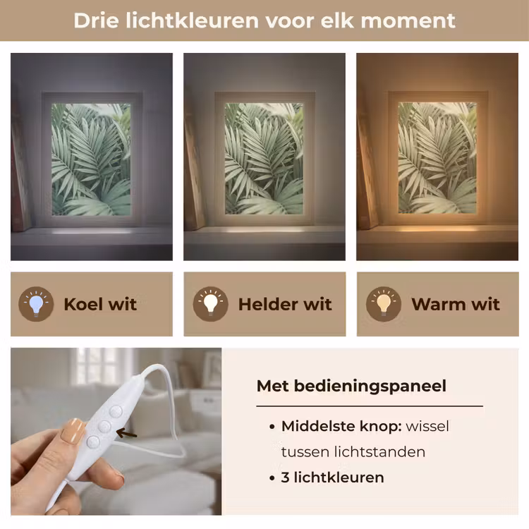 Gepersonaliseerde lightbox - Plant - Palmbladeren - Natuur - Groen — 6