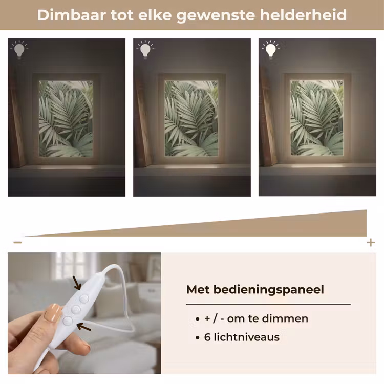 Gepersonaliseerde lightbox - Plant - Palmbladeren - Natuur - Groen — 8
