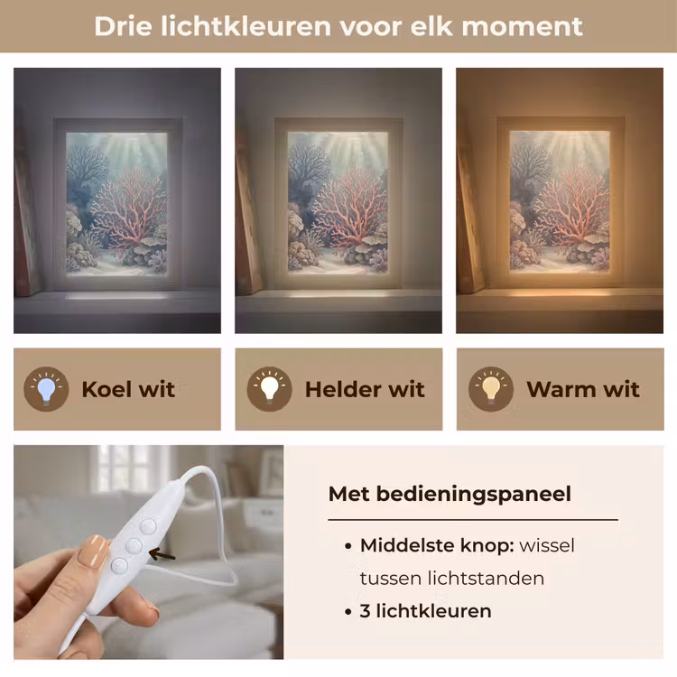 Gepersonaliseerde lightbox - Koraal - Onderwater - Natuur - Roze — 6