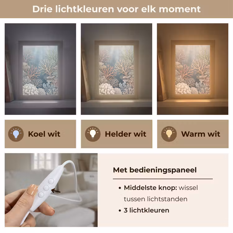 Gepersonaliseerde lightbox - Koraal - Zeeleven - Onderwater - Illustratie - Natuur — 6