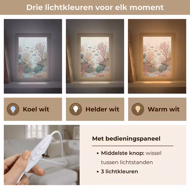 Gepersonaliseerde lightbox - Onderwater - Koraal - Vis - Natuur — 6
