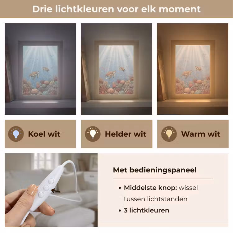 Gepersonaliseerde lightbox - Schildpad - Onderwater - Natuur - Illustratie — 6