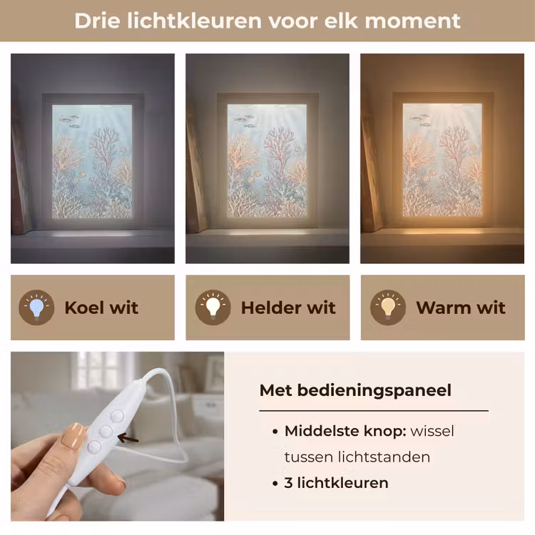 Gepersonaliseerde lightbox - Vis - Koraal - Oceaan - Illustratie - Onderwater — 6