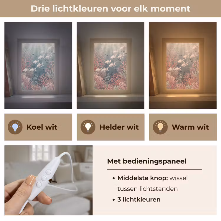 Gepersonaliseerde lightbox - Vis - Koraal - Onderwater - Illustratie - Vintage — 6