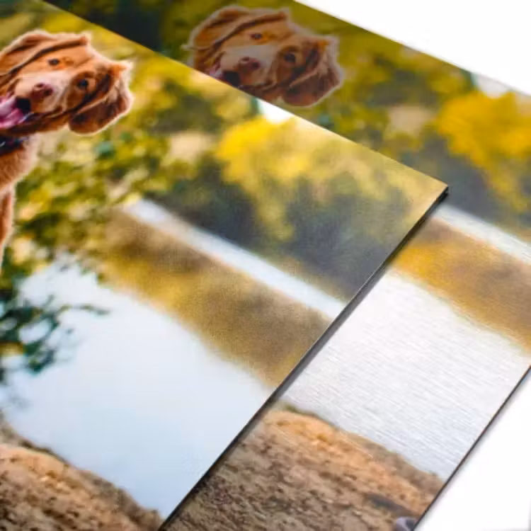 Foto op aluminium — 2