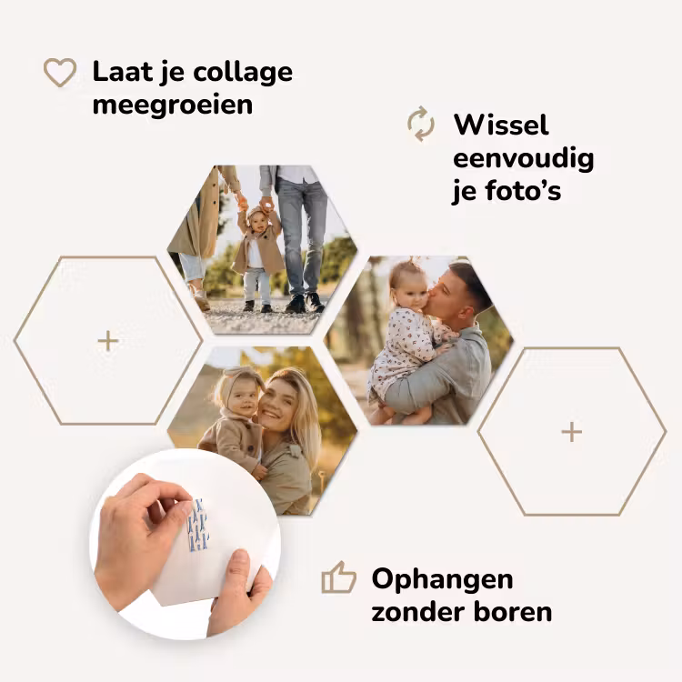 Hexagon foto — 3