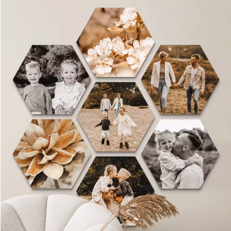 Hexagon foto — 6
