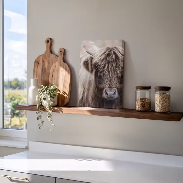 Canvas schilderij - Schotse Hooglander - Dieren - Hoorn — 4