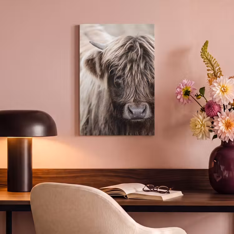 Canvas schilderij - Schotse Hooglander - Dieren - Hoorn — 6