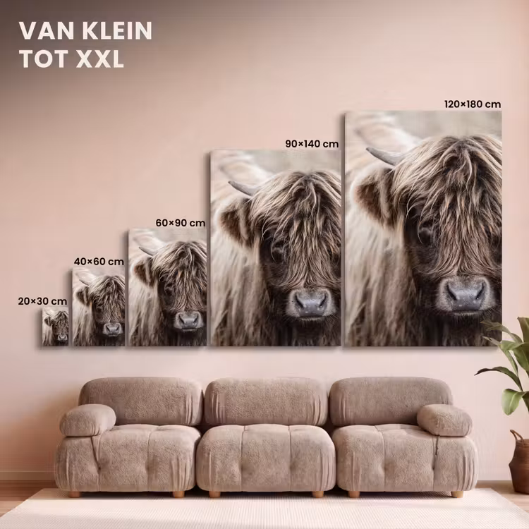 Canvas schilderij - Schotse Hooglander - Dieren - Hoorn — 8