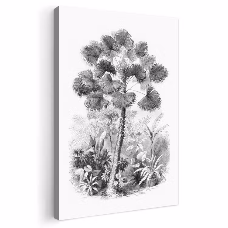 Canvas schilderij - Design - Zwart wit - Natuur — 1