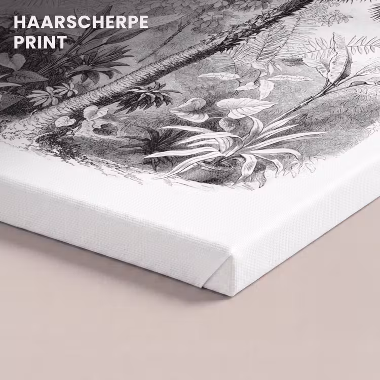Canvas schilderij - Design - Zwart wit - Natuur — 5