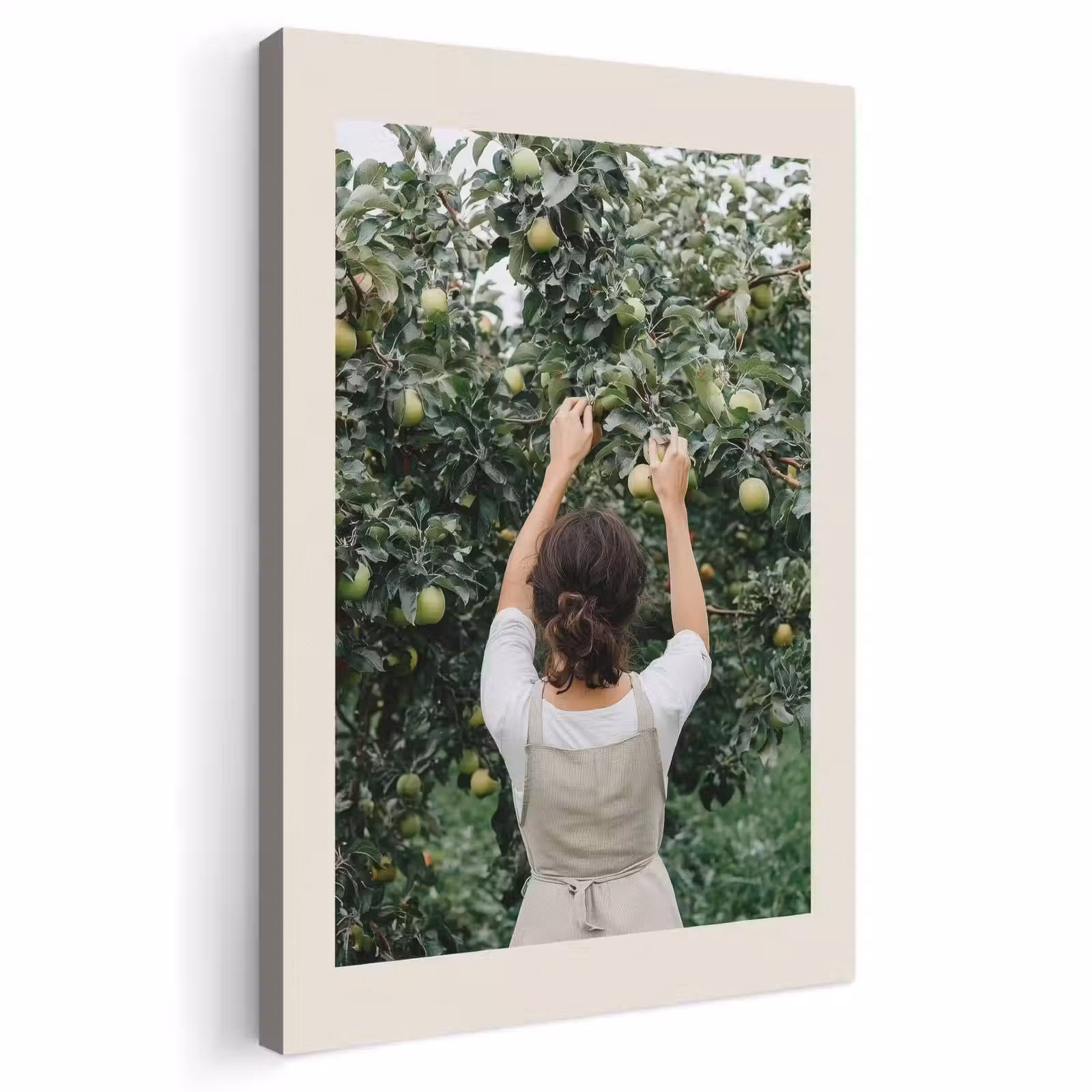 Canvas schilderij - Boom - Appels - Plukken - Natuur — 1
