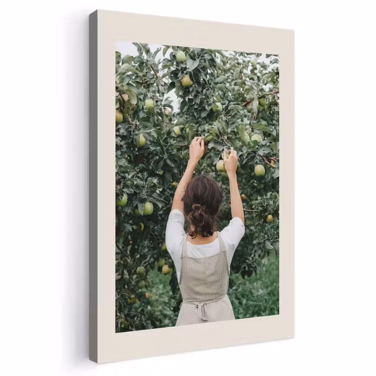 Canvas schilderij - Boom - Appels - Plukken - Natuur — 1