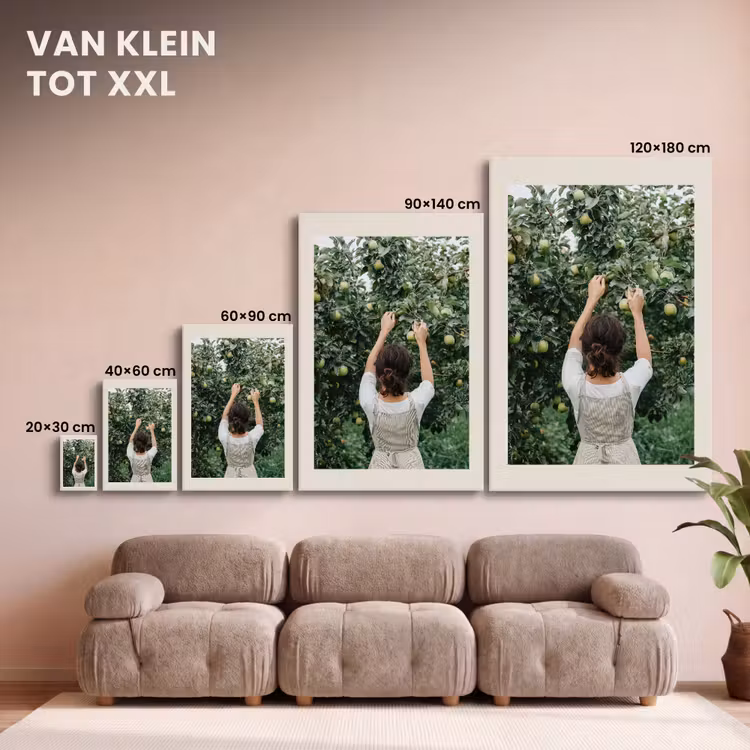 Canvas schilderij - Boom - Appels - Plukken - Natuur — 7