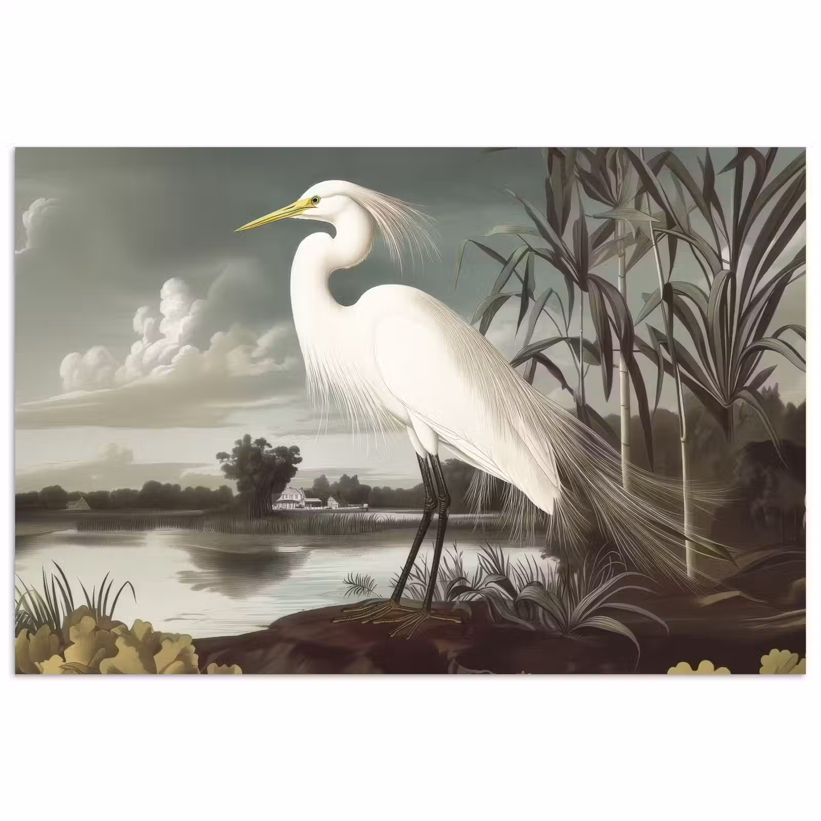 Poster – Reiger - Planten - Wolken - Wit — 1