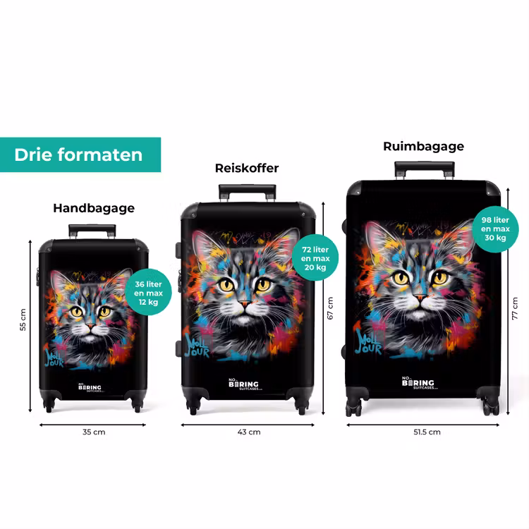 Koffer - Kat met kleurrijke penseelstreken — 8