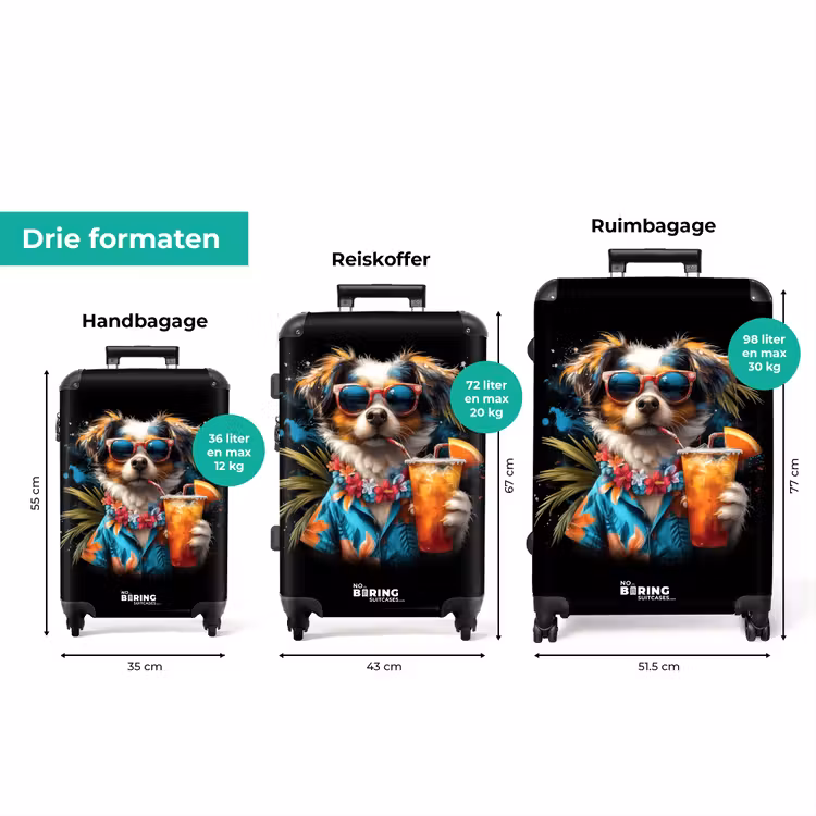Koffer - Hond in tropische sferen — 8