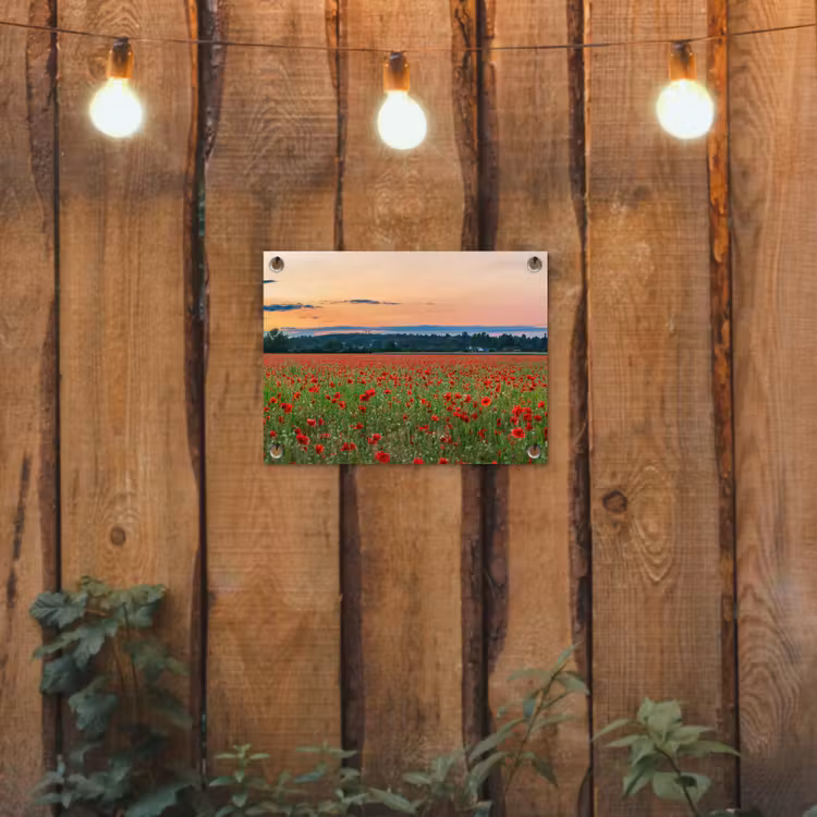 Tuinposter - Klaprozen - Landschap - Rood - Bloemen — 2