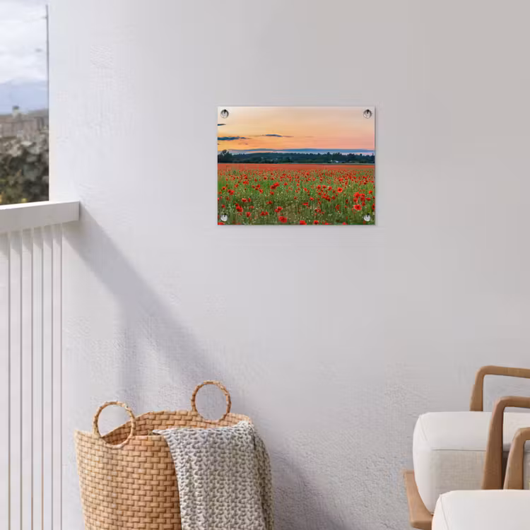 Tuinposter - Klaprozen - Landschap - Rood - Bloemen — 3