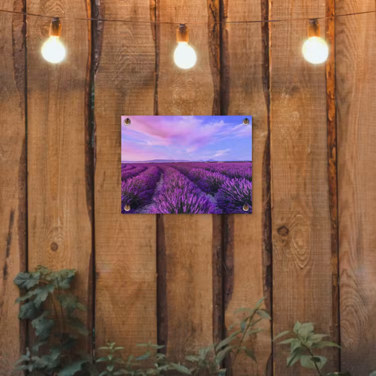 Tuinposter - Lavendel - Paars - Bloemen - Natuur — 2