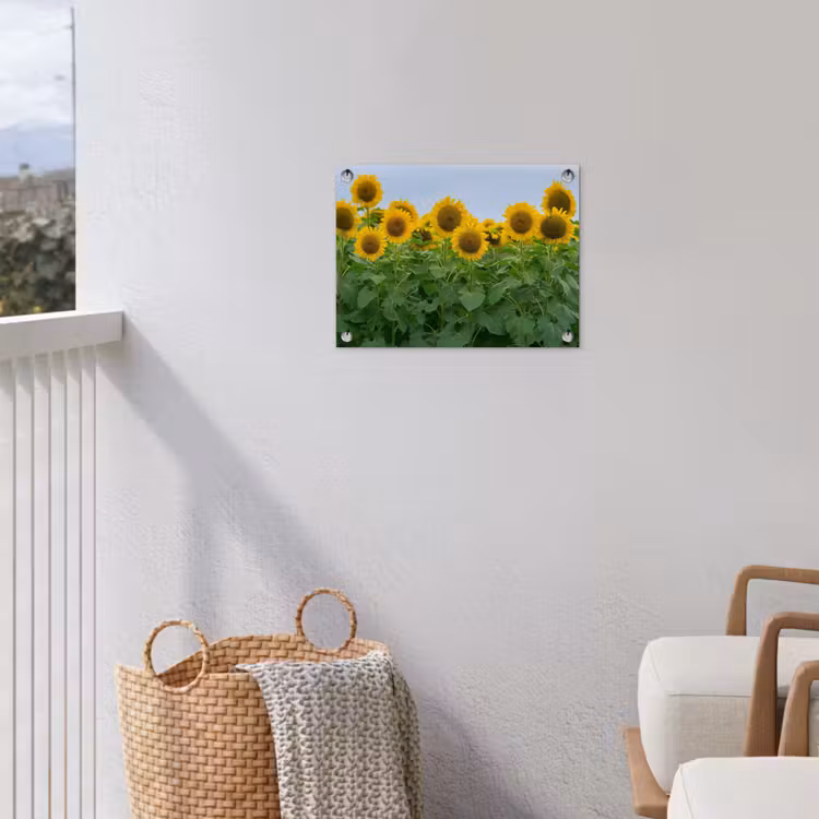 Tuinposter - Zonnebloemen - Geel - Natuur — 3