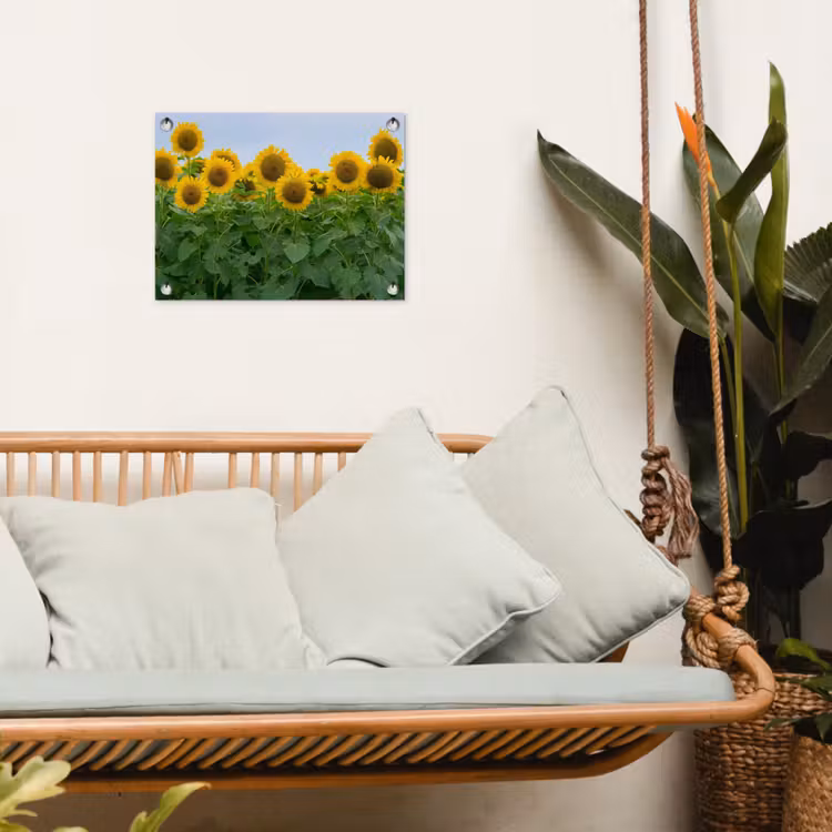 Tuinposter - Zonnebloemen - Geel - Natuur — 5