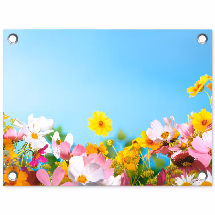 Tuinposter - Bloemen - Kleurrijk - Blauw - Natuur — 1