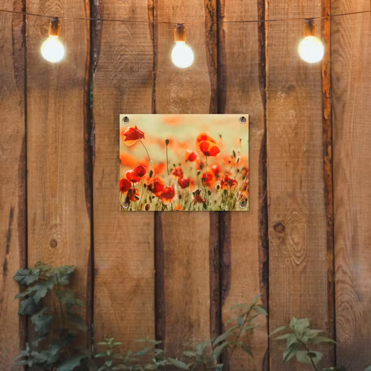 Tuinposter - Klaprozen - Bloemen - Rood - Bloemenveld — 2