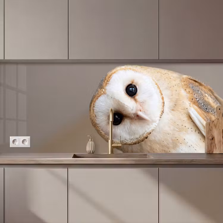 Keuken achterwand - Uil - Bruin - Wit
