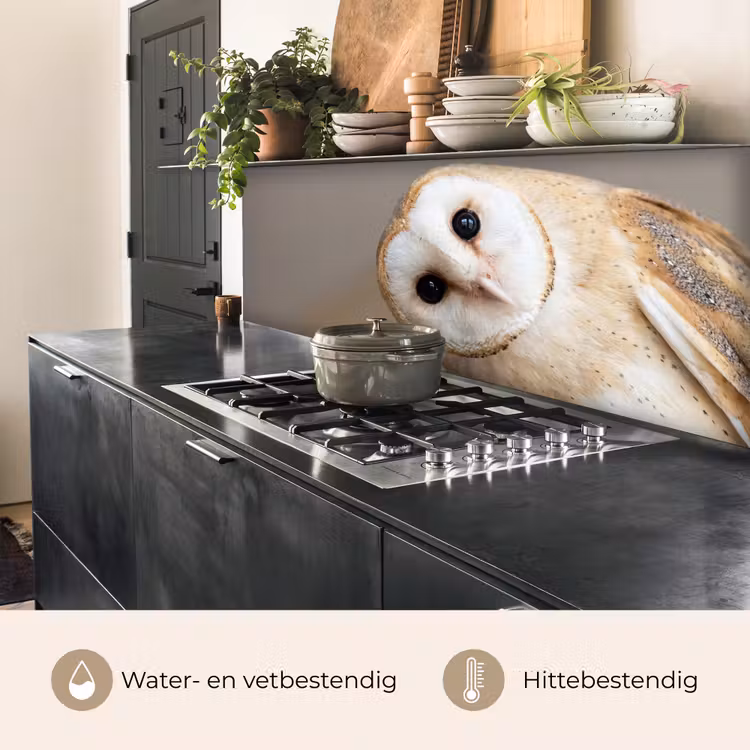 Keuken achterwand - Uil - Bruin - Wit — 3