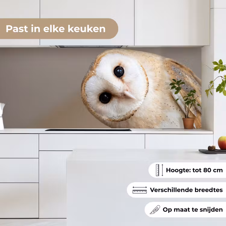 Keuken achterwand - Uil - Bruin - Wit — 4