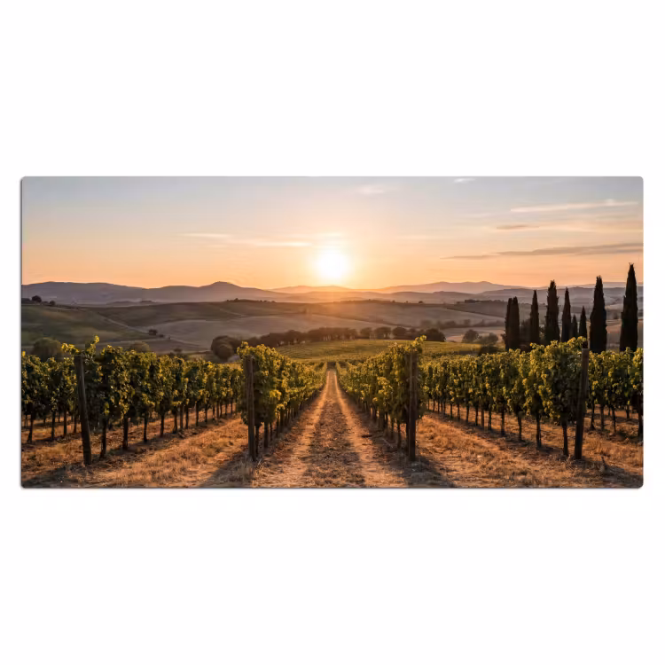 Bureau onderlegger - Wijngaard - Zonsondergang - Landschap — 2