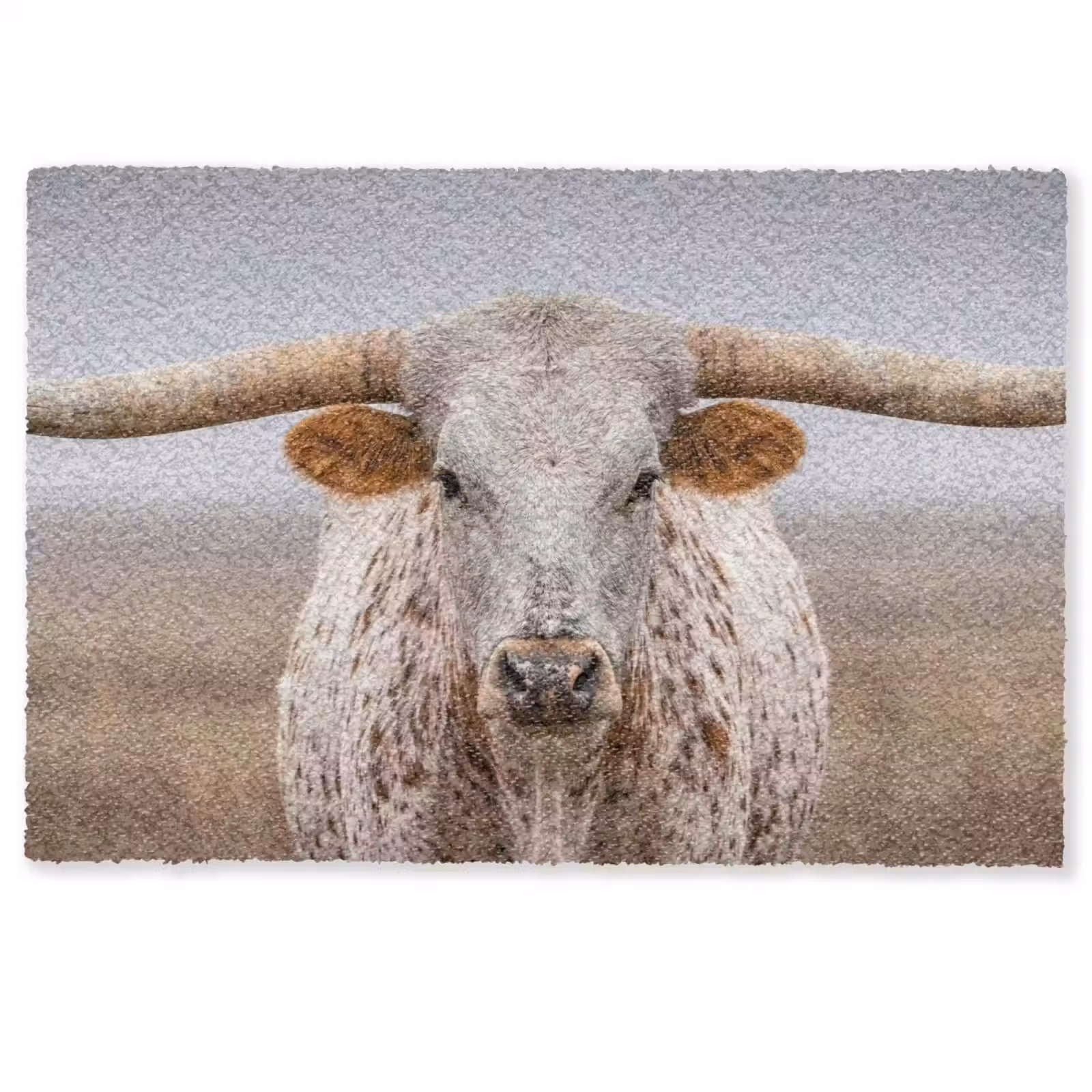 Deurmat - Longhorn - Grasveld - Dier — 1