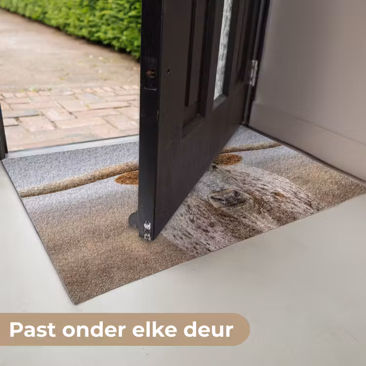 Deurmat - Longhorn - Grasveld - Dier — 7
