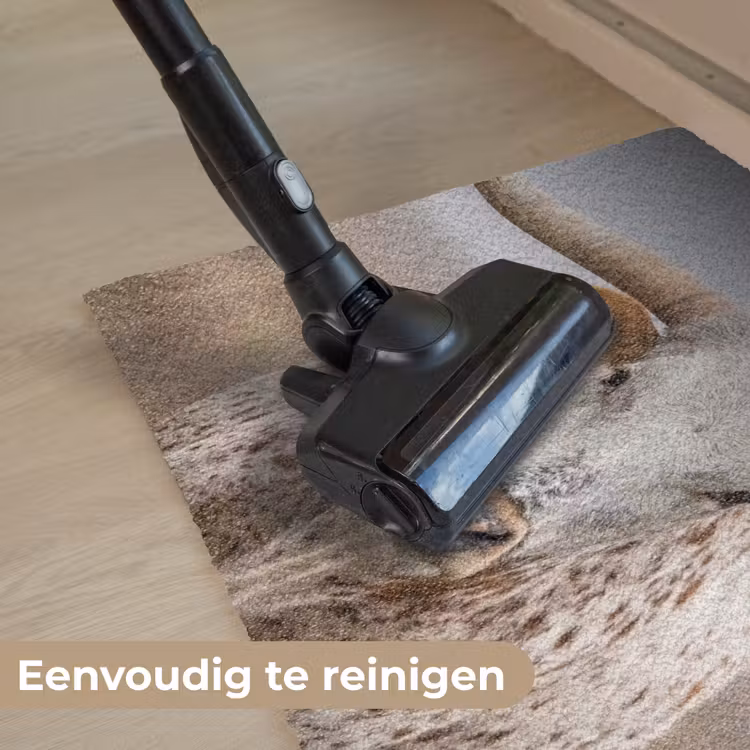Deurmat - Longhorn - Grasveld - Dier — 9