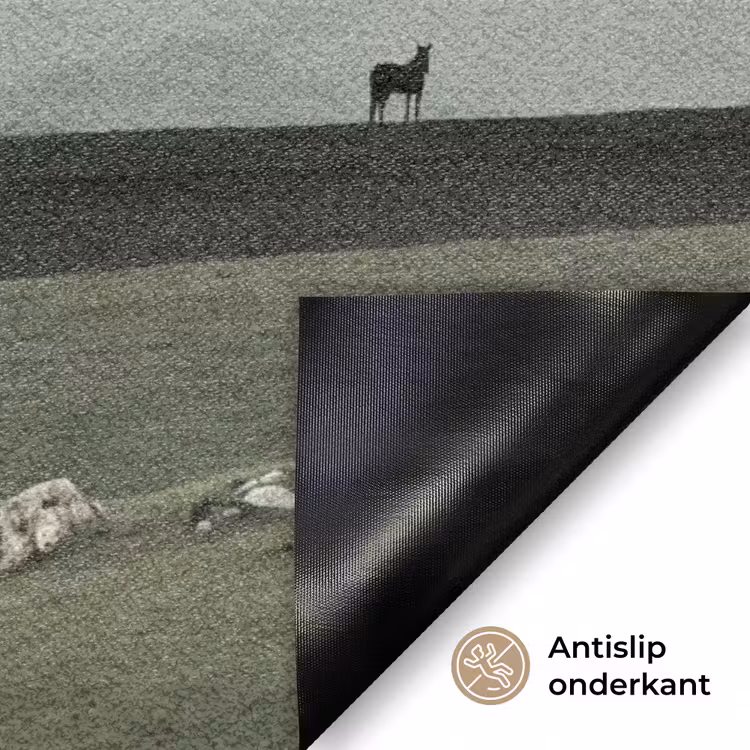 Deurmat - Grijs - Berg - Paarden — 6